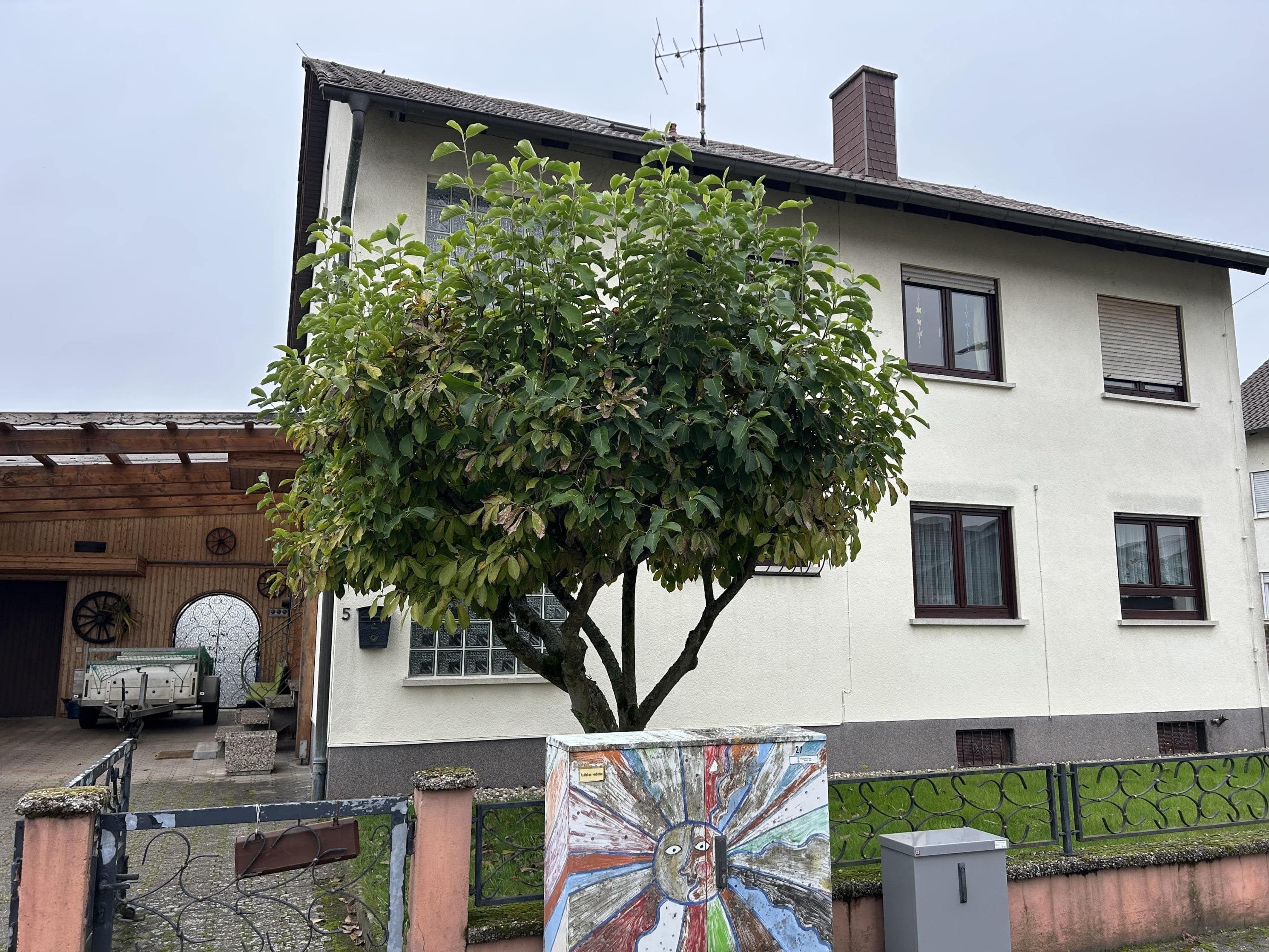 Mehrfamilienhaus zum Kauf 399.000 € 6 Zimmer 142 m²<br/>Wohnfläche 503 m²<br/>Grundstück Neupotz 76777