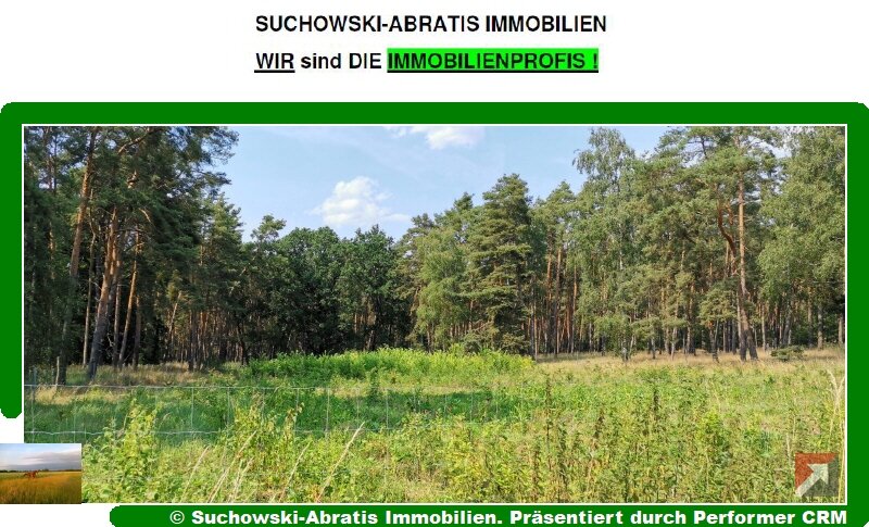 Land-/Forstwirtschaft zum Kauf 48.000 € 30.692 m²<br/>Grundstück Herzberg Herzberg 04916