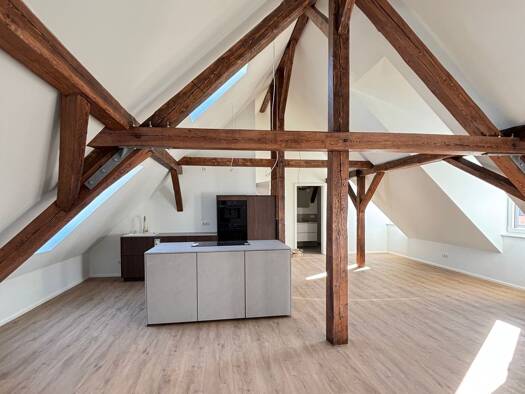 Loft zur Miete 1.200 € 2 Zimmer 80 m² Geschoss 3/3 frei ab sofort Landau Landau in der Pfalz 76829
