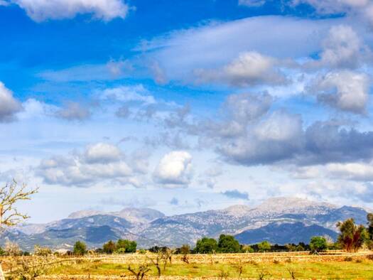 Grundstück zum Kauf 340.000 € 50.000 m² Grundstück Carretera Ma-3240 Inca-Sineu, km. 4'5 HOS BOVO Inca 07300