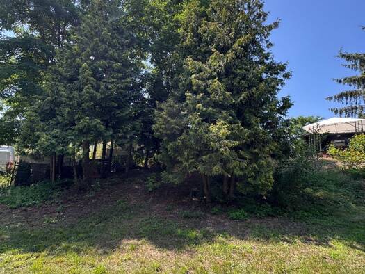 Haus zum Kauf 449.180 € 5 Zimmer 125 m² 860 m² Grundstück frei ab sofort Butzow Beetzseeheide 14778