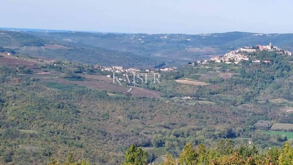 Land-/Forstwirtschaft zum Kauf 222.000 € Motovun Motovun