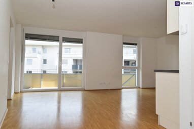 Wohnung zur Miete 541 € 2 Zimmer 51,5 m² 2. Geschoss Niesenbergergasse Gries Graz 8020