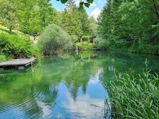 Wohnung zum Kauf 230.000 € 4 Zimmer 133 m² Ybbsitz 3341