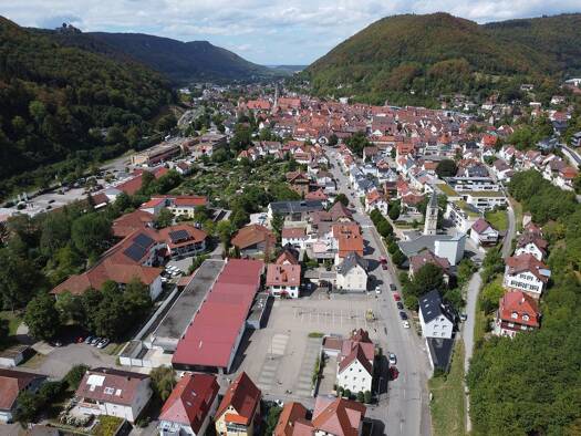 Grundstück zum Kauf provisionsfrei 4.097 m² Grundstück Münsinger Straße 36 Bad Urach Bad Urach 72574