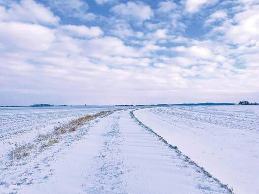 Land-/Forstwirtschaft zur Versteigerung 4.500 € 14.243 m² Grundstück Altenburg 04600