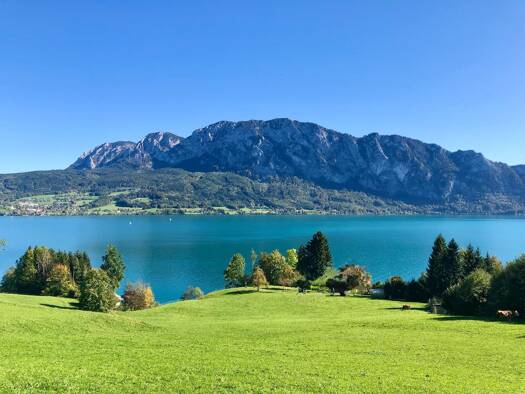 Wohnung zum Kauf - Erstbezug 390.000 € 70 m² frei ab sofort Attersee am Attersee 4864