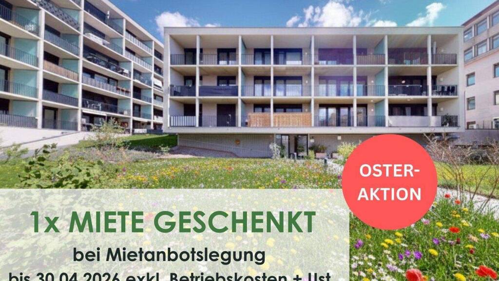 Studio zur Miete 316 € 1 Zimmer 27,7 m² 3. Geschoss Strauchergasse 1 Lend Graz 8020