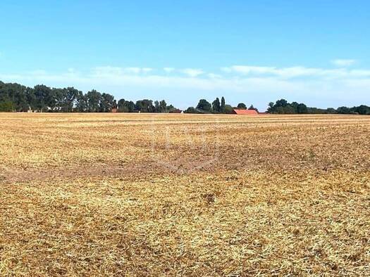 Land-/Forstwirtschaft zum Kauf 1.350.000 € 650.876 m² Grundstück Kyritz Kyritz 16866