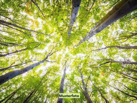 Land-/Forstwirtschaft zum Kauf 1.823 € 1.736 m² Grundstück Nieder-Ramstadt Mühltal 64367