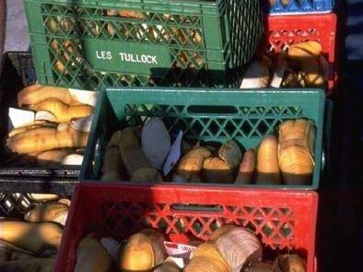 Laden zur Miete 18 € 120 m² Verkaufsfläche Dachau 85221