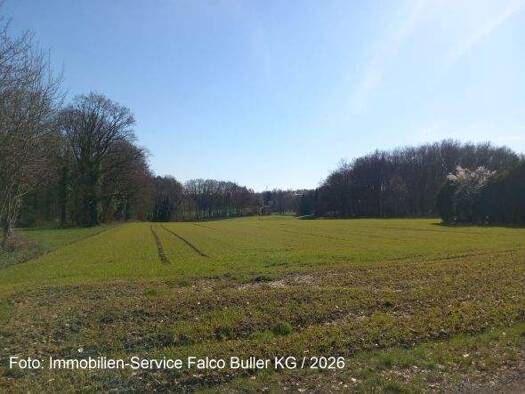 Land-/Forstwirtschaft zum Kauf 25.000 € 4.586 m² Grundstück Lohe Bad Oeynhausen 32545