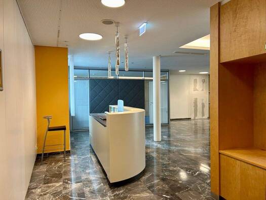 Bürofläche zur Miete 20 € 7 Zimmer Schladming 8970