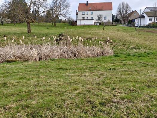 Grundstück zum Kauf 73.500 € 1.659 m² Grundstück Baugenehmigung vorhanden frei ab sofort Etzdorf Striegistal 09661