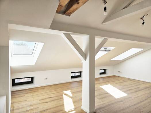 Wohnung zur Miete 782 € 1 Zimmer 52,1 m² 4. Geschoss frei ab 01.12.2026 August-Bebel-Straße 24 Innenstadt Mitte 06108