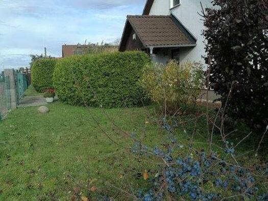 Einfamilienhaus zum Kauf 299.000 € 3 Zimmer 120 m² 1.122 m² Grundstück frei ab 01.06.2026 Großbadegast Südliches Anhalt 06369