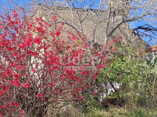 Haus zur Miete 1.050 € 3 Zimmer 70 m² Volosko, Opatija Pobri, Volosko