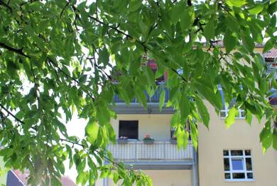 Wohnung zum Kauf 128.000 € 3 Zimmer 63 m² 1. Geschoss Freital Freital 01705