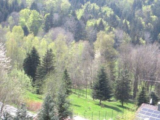 Wohnung zum Kauf 89.000 € 47 m² frei ab sofort Langfurth Schöfweg 94572