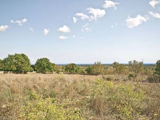 Grundstück zum Kauf provisionsfrei 650.000 € 14.151 m² Grundstück Santanyi