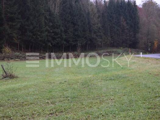 Gewerbegrundstück zum Kauf 140.000 € 3.372 m² Grundstück Gramastetten 4201