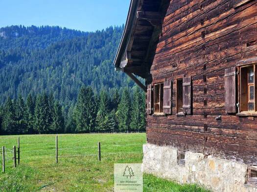 Grundstück zum Kauf 1.981.360 m² Grundstück Balderschwang 87538