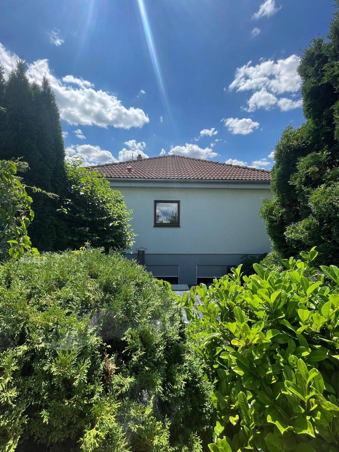 Einfamilienhaus zum Kauf - Ansicht 3