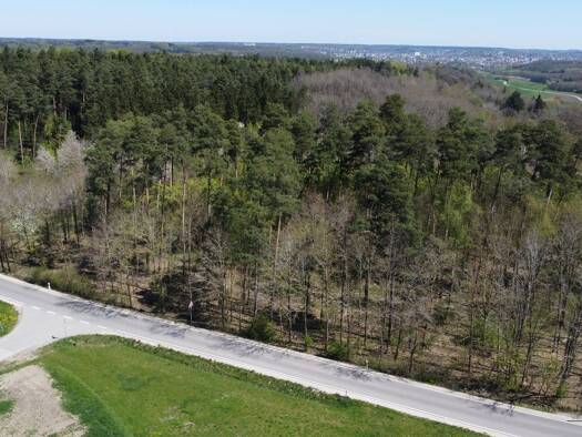 Landwirtschaftliche Fläche zum Kauf 19.000 € 3.668 m² Grundstück Dornberg Ansbach 91522