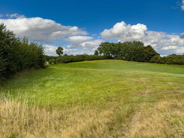 Grundstück zum Kauf 375.000 € 15.209 m² Grundstück Barkelsby 24360