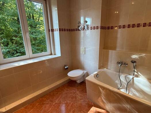 Wohnung zur Miete 275 € 2 Zimmer 47,2 m² 1. Geschoss Beethovenstraße 46 Sonnenberg Chemnitz 09130