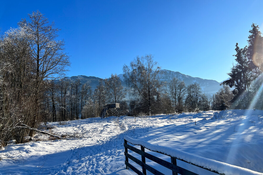 Grundstück zum Kauf 925.000 € 1.709 m²<br/>Grundstück Zell am See 5700