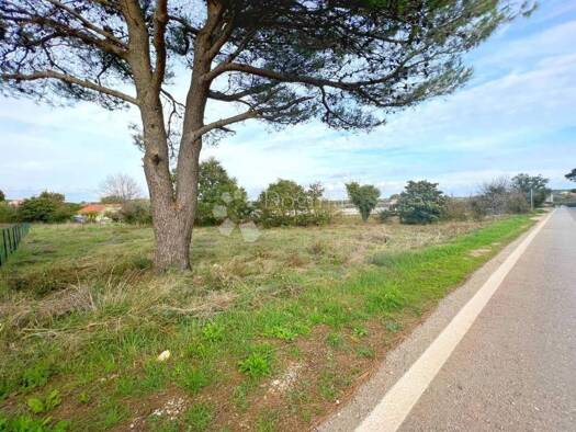 Land-/Forstwirtschaft zur Miete 200 € Premantura, Pomer