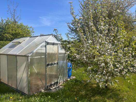 Grundstück zum Kauf 33.500 € 726 m² Grundstück Mühlhausen Mühlhausen/Thüringen 99974