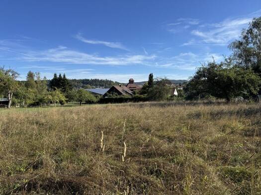 Freizeitgrundstück zum Kauf 10.000 € 927 m² Grundstück Münsingen Münsingen 72525