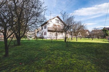 Land-/Forstwirtschaft zum Kauf 380.000 € Center 10410