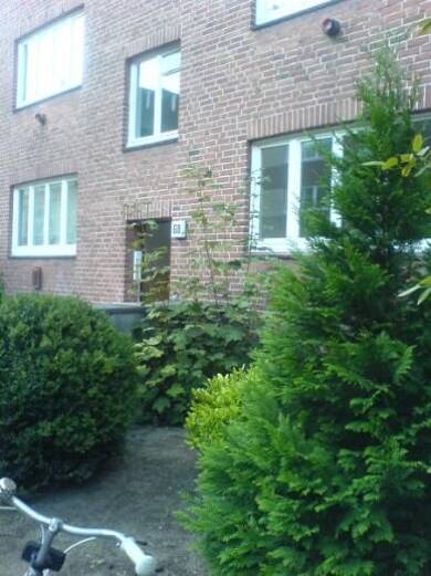 Wohnung zur Miete 616 € 2 Zimmer 55,7 m² EG frei ab 01.09.2025 Bartholomäusstraße 68 Barmbek - Süd Hamburg 22083
