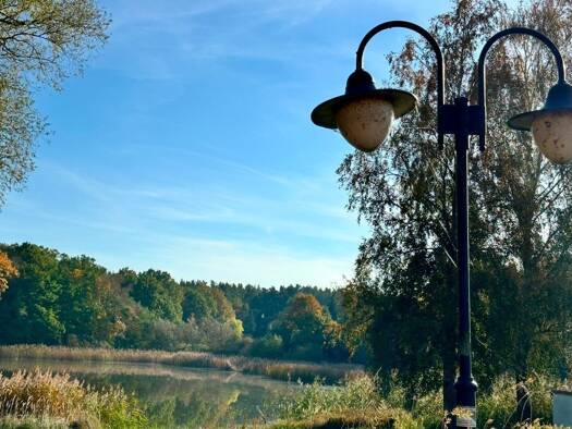 Bungalow zum Kauf provisionsfrei 220.000 € 5 Zimmer 110 m² 1.408 m² Grundstück Beetzer Triftweg Beetz Kremmen 16766