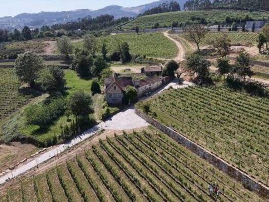 Einfamilienhaus zum Kauf 2.000.000 € 20 Zimmer 1.100 m² 85.000 m² Grundstück Cernadelo e Lousada (São Miguel e Santa Margarida) 4620-102