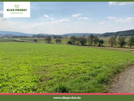 Land-/Forstwirtschaft zum Kauf provisionsfrei 144.000 € 16.210 m² Grundstück Samstagsweide 1 Ziegelhütte Schönsee 92539