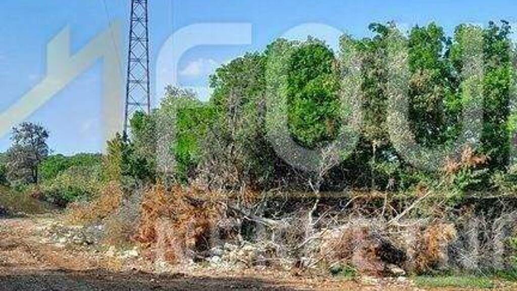 Land-/Forstwirtschaft zum Kauf 176.000 € Belej, Mali Losinj Mali Losinj