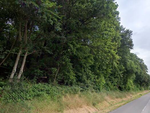 Land-/Forstwirtschaft zum Kauf 400 € 2.189 m² Grundstück Ernstweiler/Bubenhausen Zweibrücken 66482