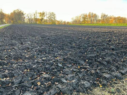 Land-/Forstwirtschaft zum Kauf 230.000 € 10.017 m² Grundstück Moosinning 85452