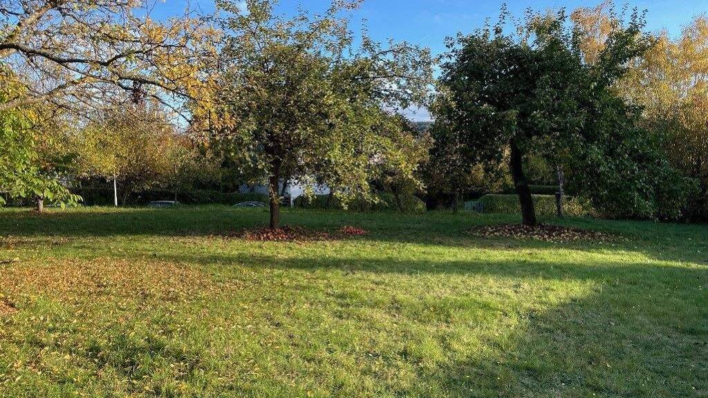 Grundstück zum Kauf 114.000 € 836 m² Grundstück Werdorf Aßlar 35614