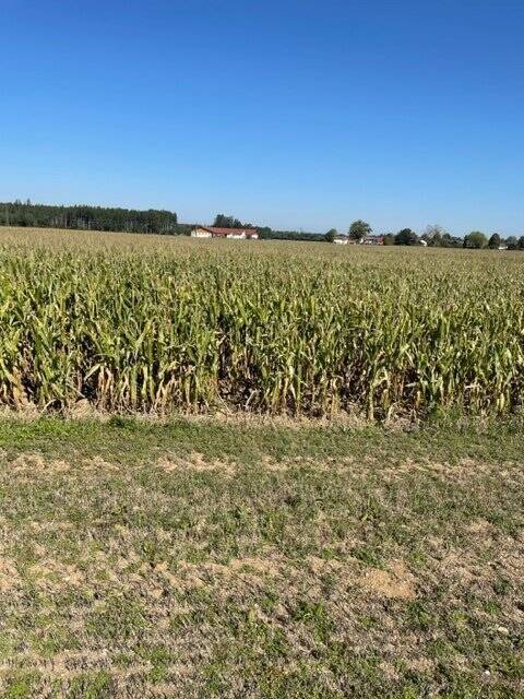 Landwirtschaftliche Fläche zum Kauf - Ansicht 2