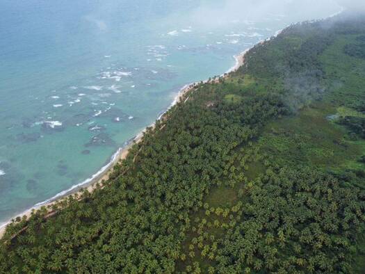 Bauernhof zum Kauf 29.784.684 € R9QJ+3W Punta Cana 23000