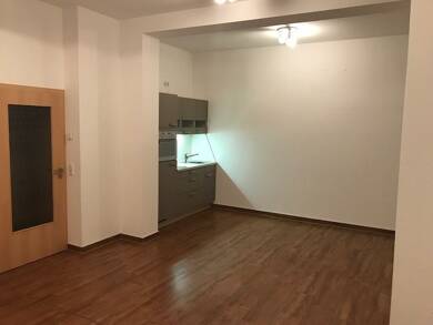 Wohnung zur Miete 430 € 1 Zimmer 42 m² EG frei ab sofort Ilmenau Ilmenau 98693
