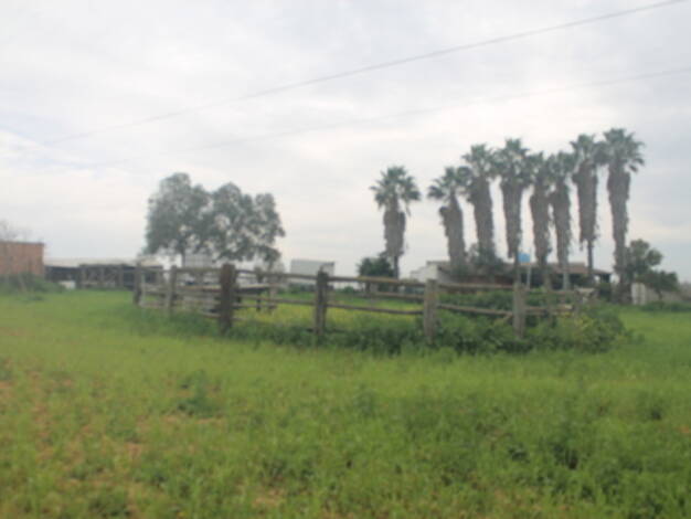 Reiterhof zum Kauf provisionsfrei 135.000 € 250 m² 8.000 m² Grundstück Hinojos 21740