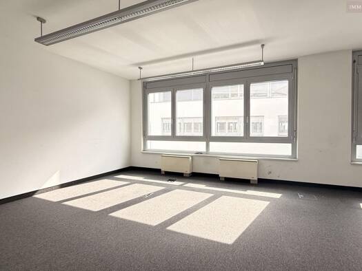 Bürofläche zur Miete 4.880 € 10 Zimmer 424,3 m² Bürofläche Schwechat 2320