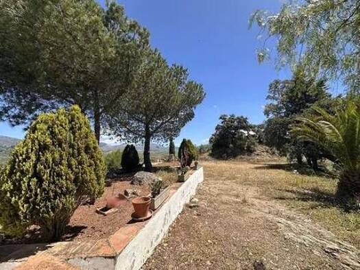 Bauernhaus zum Kauf 425.000 € 6 Zimmer 324 m² Comares Comares 29195