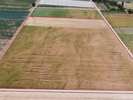 Land-/Forstwirtschaft zum Kauf 59.818 m² Grundstück Gönnheim 67161